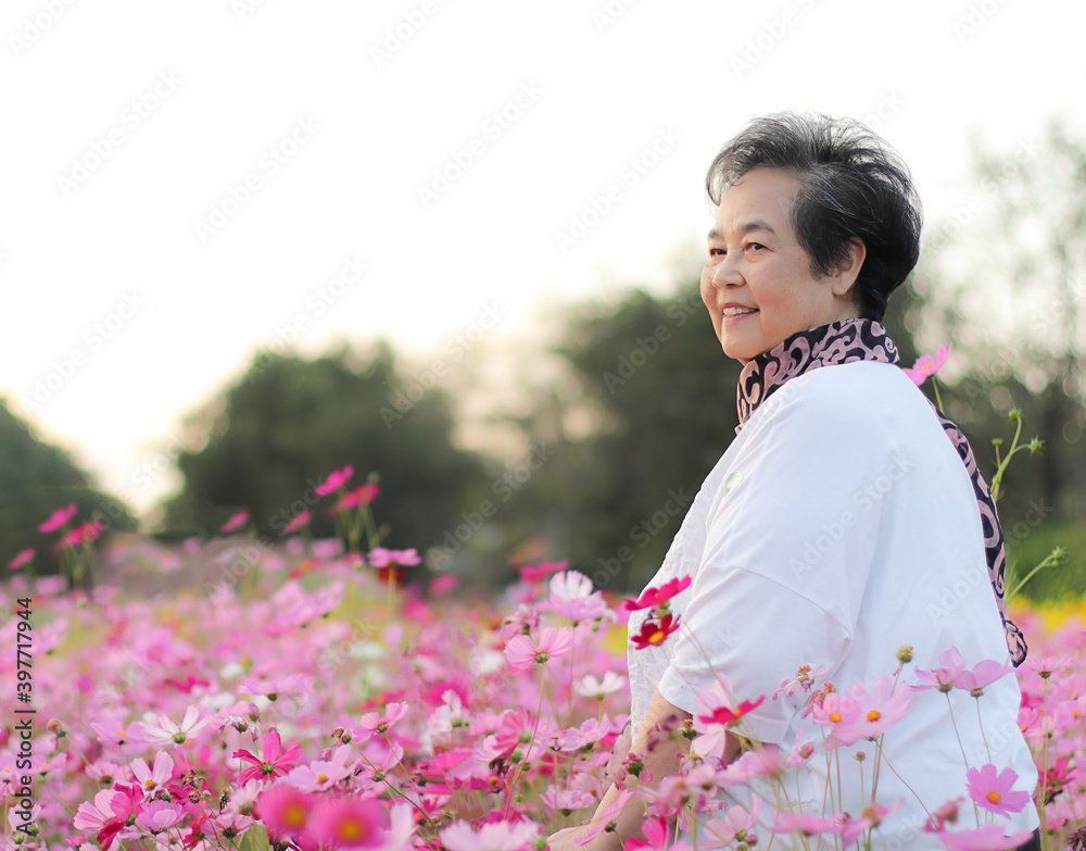 happy and healthy senior woman standing in cosmos flower garden , smiling and looking away. happy and healthy senior woman standing in cosmos flower garden , smiling and looking away.