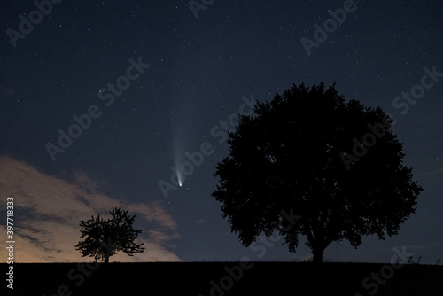 Comet C/2020 F3 neowise between the silhouettes of two trees just above the horizon