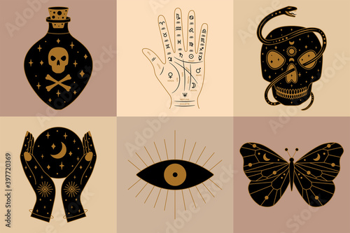 Set of Mystical and Witch Illustrations in Vector