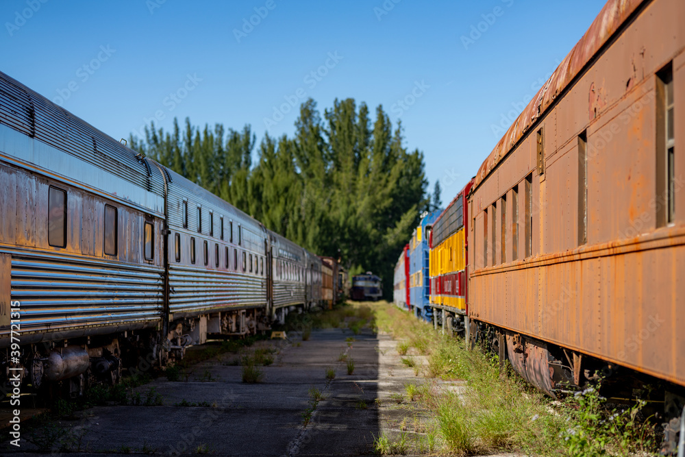 Old abandoned trains at a depot