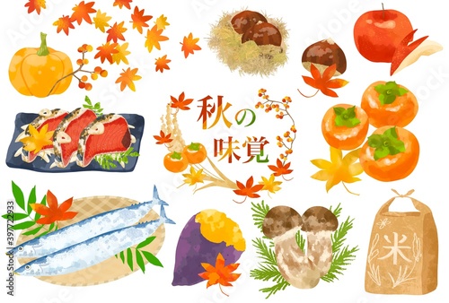 Fototapeta かわいいタッチの食欲の秋イラスト素材セット