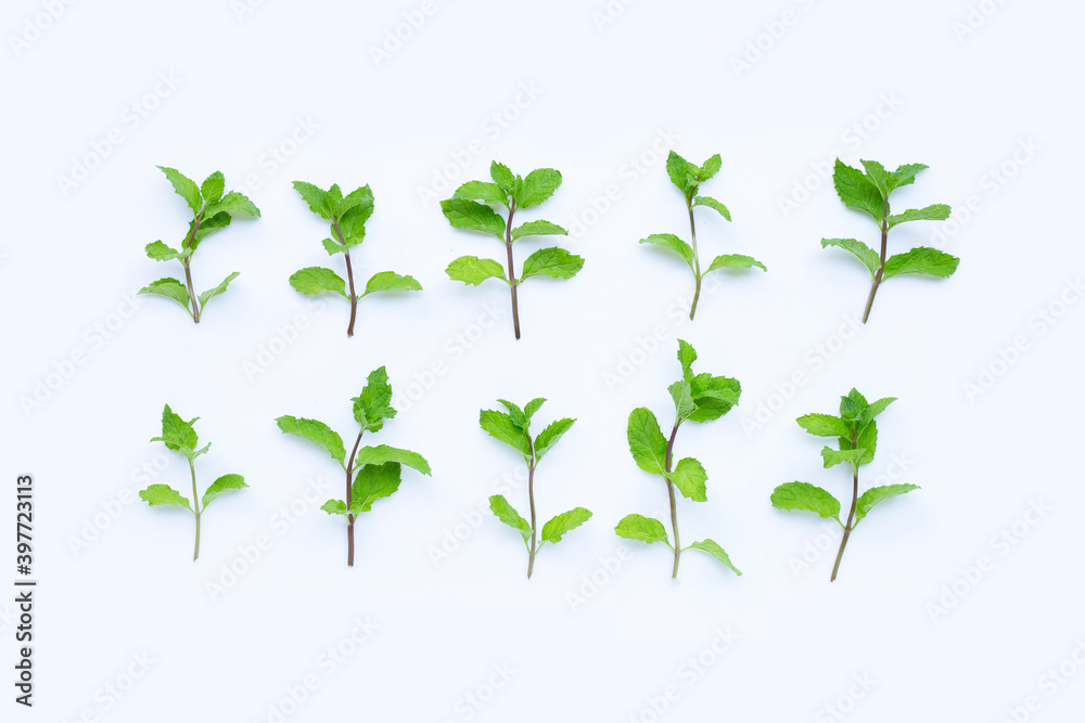 Fresh mint leaves on white background. Top view Fresh mint leaves on white background. Top view
