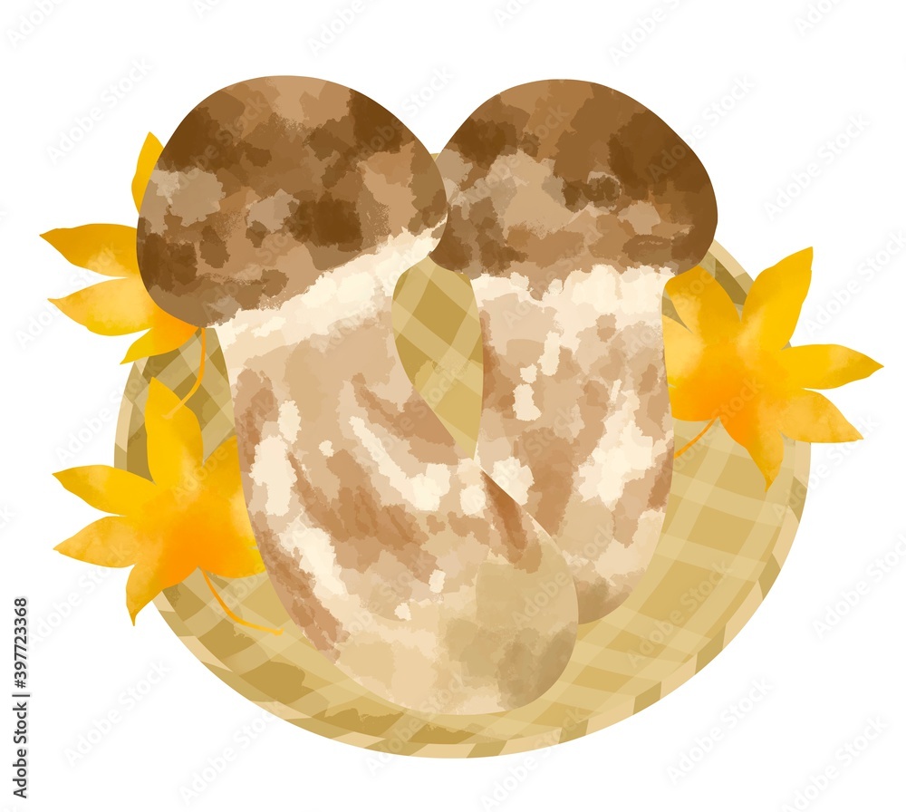 食欲の秋に食べたい高級食材松茸のイラスト Stock Illustration Adobe Stock 食欲の秋に食べたい高級食材松茸のイラスト Stock Illustration Adobe Stock