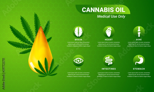 Cannabis oil infographic with benefits. Vector illustration