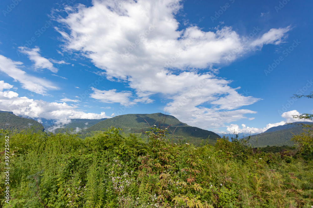 Beautiful mountain peaks against a bright blue sky with white clouds, in the foreground growing grass, use as a background or texture Beautiful mountain peaks against a bright blue sky with white clouds, in the foreground growing grass, use as a background or texture