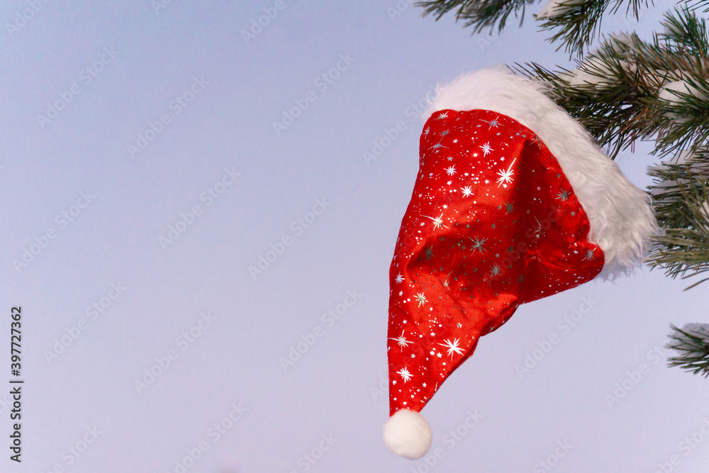 Christmas hat hanging on a tree branch. Space for text. The joyous holiday of Christmas.