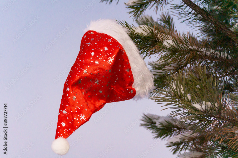Santa Claus Christmas hat hanging on a tree. Red Christmas hat.