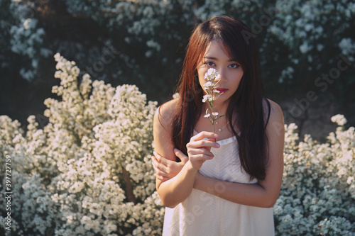 Obraz na płótnie Asian woman in white dress covering her right eye by flower in the garden of white flowers w salonie