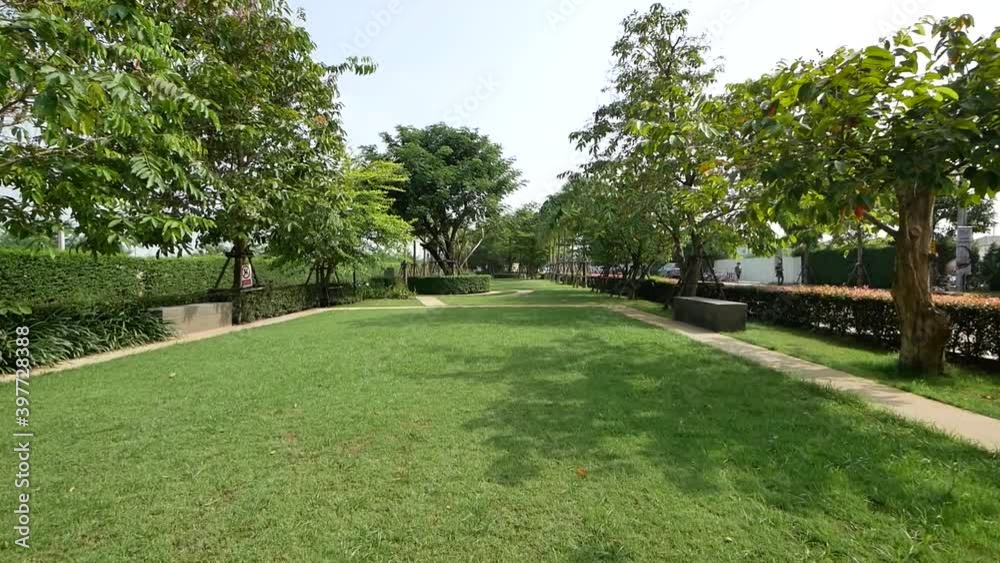 Peaceful and Beautiful Green Grass Jogging Park With Big Trees On Sunny Day Peaceful and Beautiful Green Grass Jogging Park With Big Trees On Sunny Day