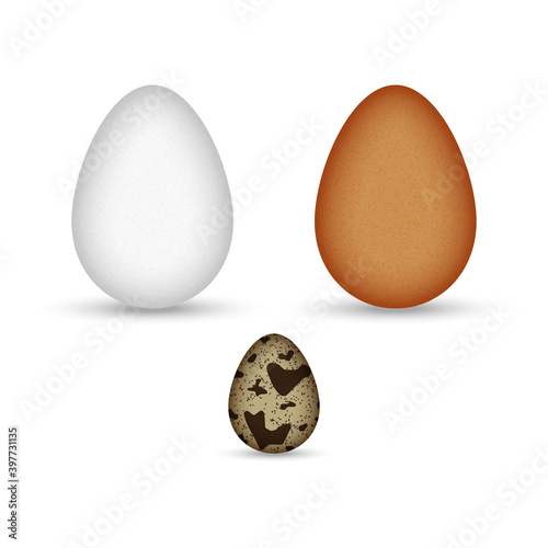 Set of brown and white chicken eggs and quail egg speckled isolated on white background realistic vector clipart.