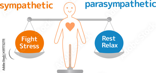 Autonomic nerve human body diagram illustration