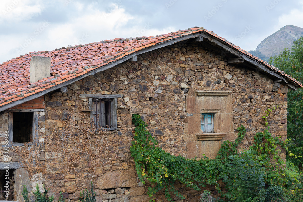 old stone house with a creeper