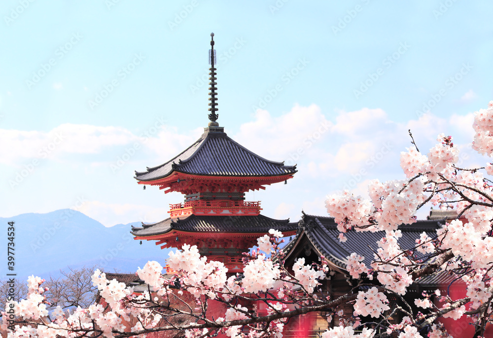 Ancient pavilion and blooming sakura in Fushimi Inari shrine, Kyoto, Japan