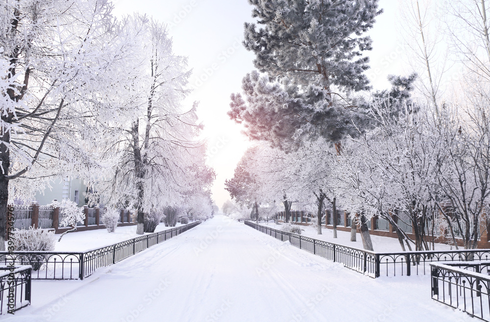 Evening winter landscape with a road and trees covered with snow, Russia