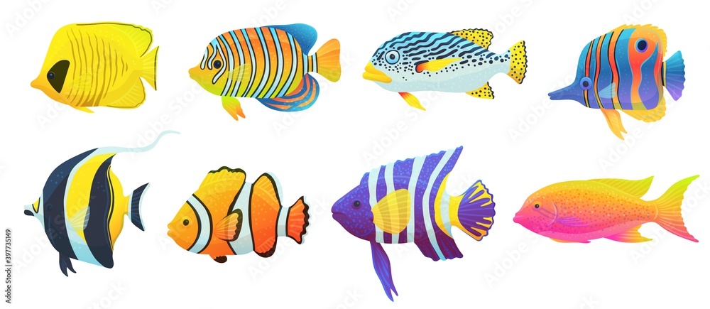 Set of colorful tropical exotic caribbean fish a vector isolated illustrations Set of colorful tropical exotic caribbean fish a vector isolated illustrations