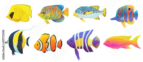 Set of colorful tropical exotic caribbean fish a vector isolated illustrations