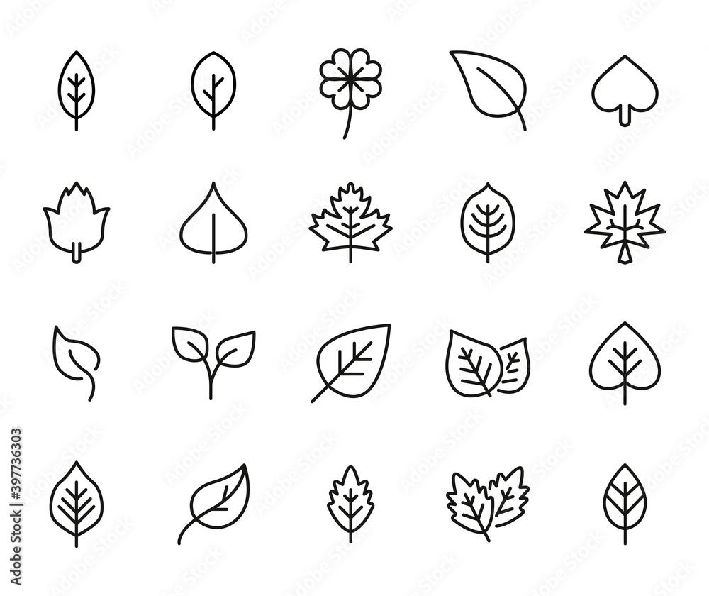 Fototapeta Premium set of leaf line icons.