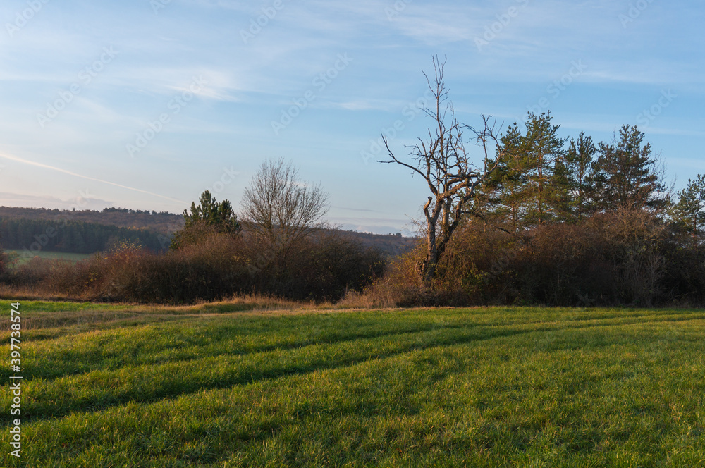 Obraz premium Landschaft im Herbst