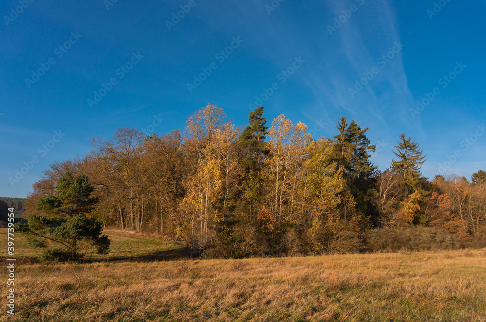 Fototapeta premium Landschaft im Herbst