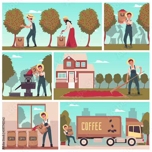 Set of vector illustration of process and manufacturing stages coffee production