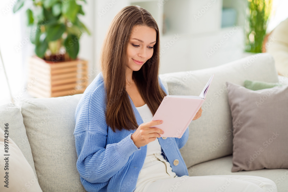 Profile side view portrait of pretty cheery focused dreamy girl sitting on divan reading novel story in light flat house apartment indoor Profile side view portrait of pretty cheery focused dreamy girl sitting on divan reading novel story in light flat house apartment indoor