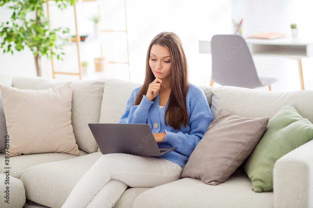 Portrait of attractive focused busy girl sitting on divan using laptop typing working remotely in light flat house apartment indoor Portrait of attractive focused busy girl sitting on divan using laptop typing working remotely in light flat house apartment indoor