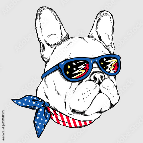 Cartoon white french bulldog in sunglasses. Stylish image for printing on any surface