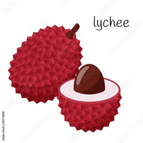 A whole lychee fruit in a prickly skin and an open half with a seed. Flat style. Exotic, tropical fruit icon. Color vector illustration isolated on a white background