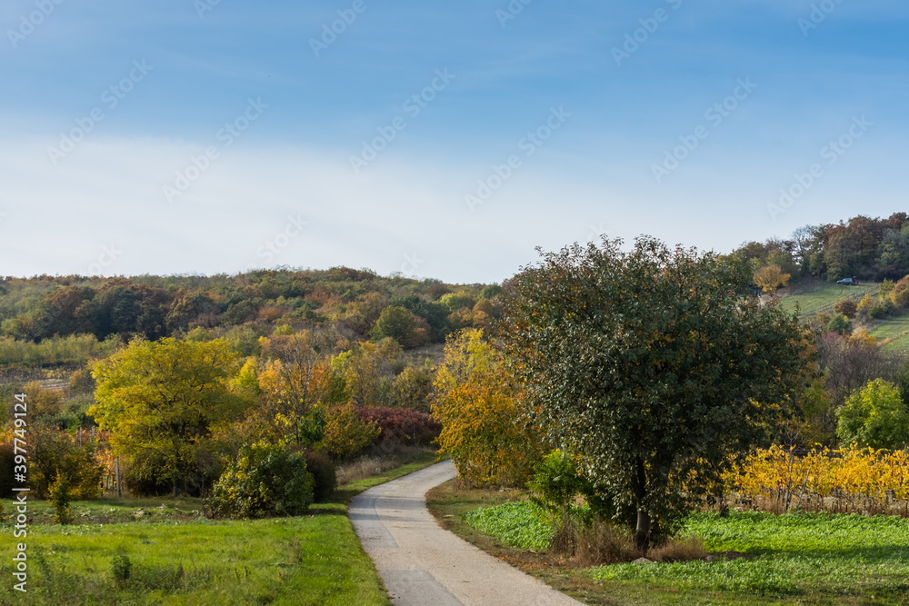 bike path in a colorful nature in autumn