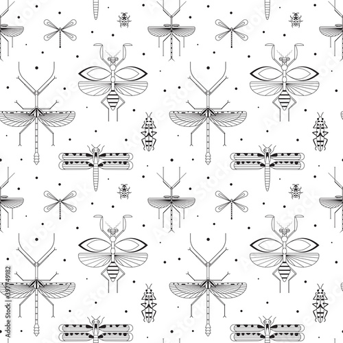 Line Winged Insects Silhouettes Pattern on White