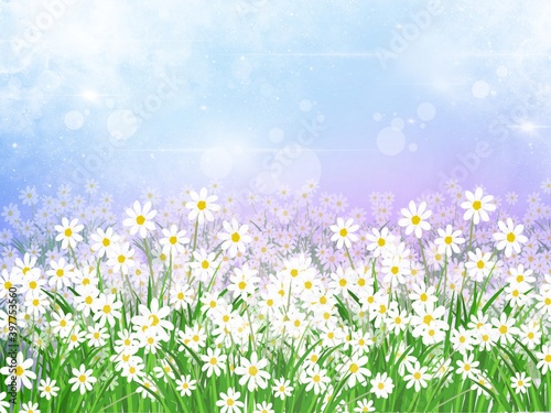 A field of white flowers, daisies and sparkle in white mist. The illustration created on the tablet is used as a background.