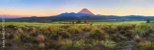 panorama of cone volcano Mount Ngauruhoe at sunrise, New Zealand photo