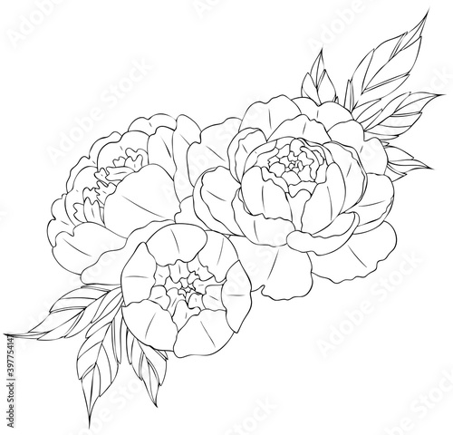 Peony flowers and leaves, tattoo compositions. Black linear illustration isolated on a white background.