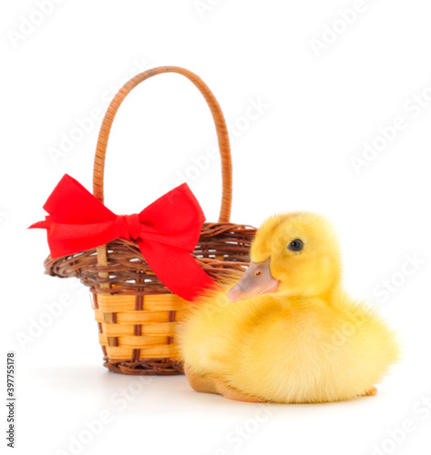 Little cute duckling and gift basket. photo