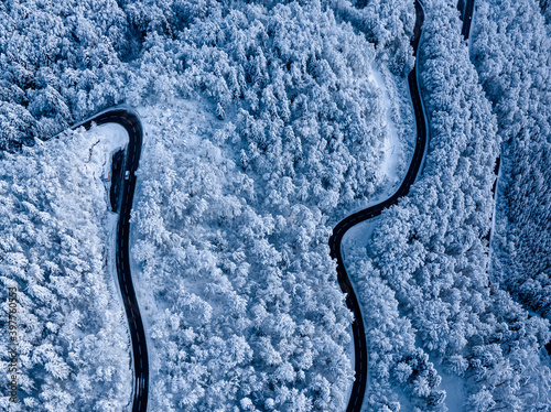 Sunrise overhead drone shot of a mountain alpine road in a snow covered forest and snow laden pines in early morning in deep winter in Switzerland. © neil
