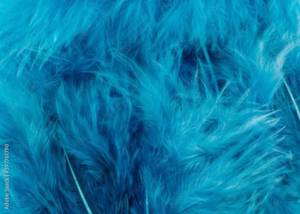 Obraz premium Blue feathers as background.