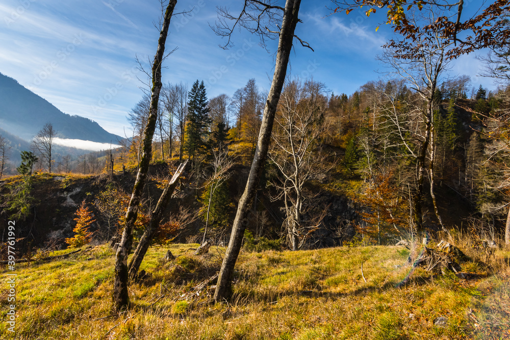 beautiful colorful landscape in autumn in a nature reserve beautiful colorful landscape in autumn in a nature reserve