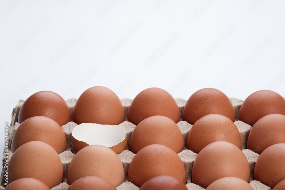 an opened empty cracked egg surround with full raw eggs in a tray on white background
