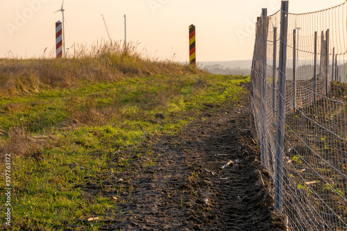 Metal mesh fence on the Polish-German border  serving as a limitation of the spread of ASF disease -  African swine fever virus 