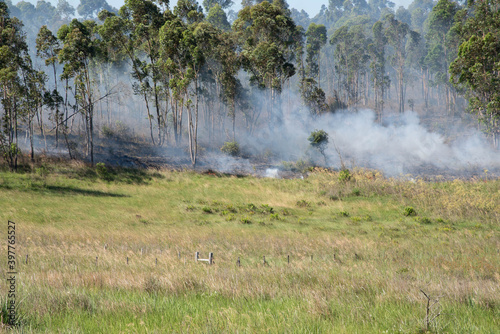 Burnings in an agricultural area in southern Brazil