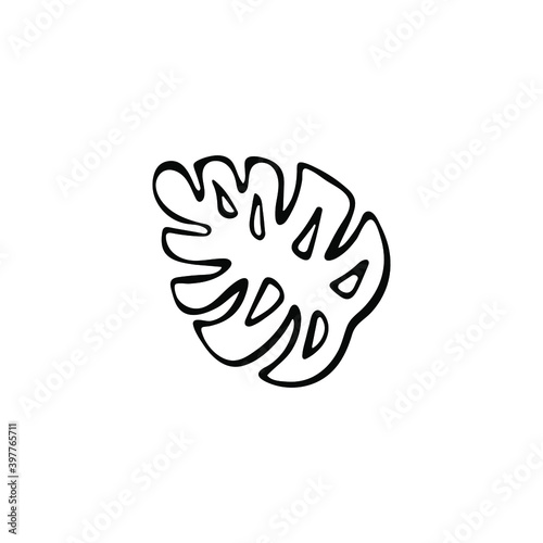 Single hand-drawn monstera leaf. Exotic tropical plant isolated on white background. Vector illustration.