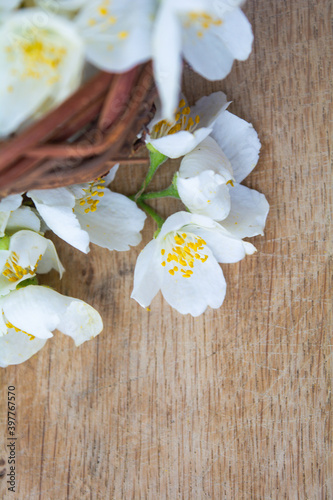 White jasmine flowers, traditional green tea ingredient, aromatherapy flavor