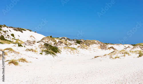 Coastal sand dune landscape of Fish Hoek  Cape Town