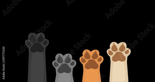 Animated animal paw icon 4K
