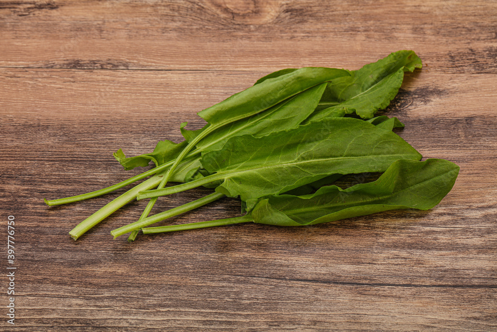 Aroma Fresh green sorrel heap Aroma Fresh green sorrel heap