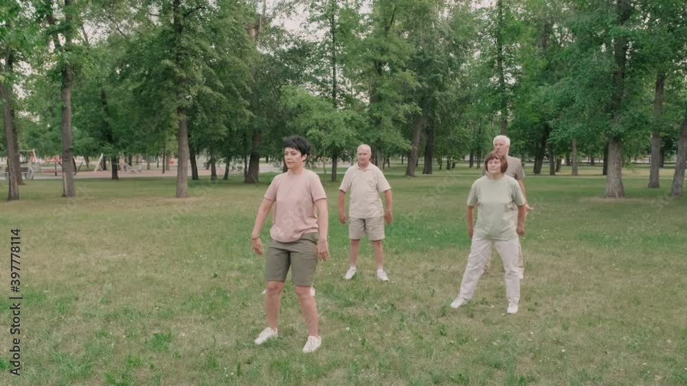 Pan shot of a few senior diverse people practicing Qigong on green lawn in park Pan shot of a few senior diverse people practicing Qigong on green lawn in park
