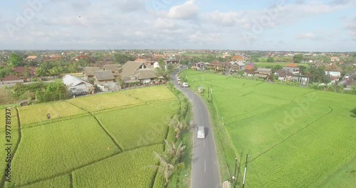 Drone Over Rice Fields in Bali Indonesia photo