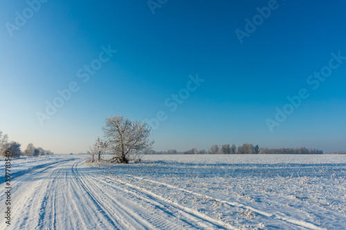 Snow covered winter field with trees and road going through to the horizon. Winter landscape. Beautiful winter nature.