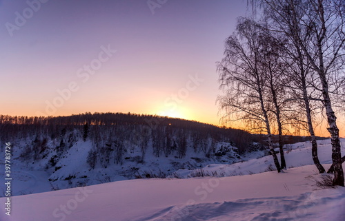 Sunset in the birch forest in winter