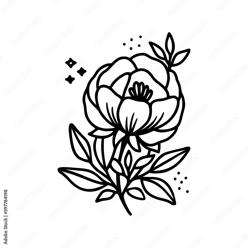 Hand drawn rose, peony flower and botanical leaf branch illustration ...